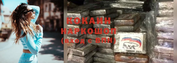 спайс Алзамай