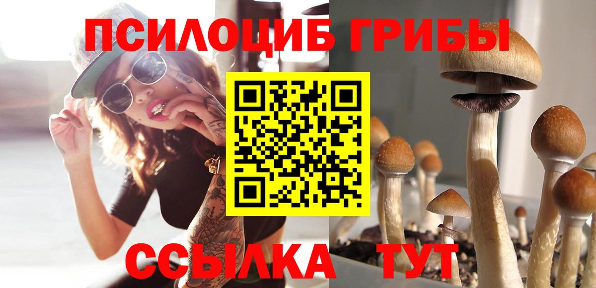 Калининград  Галлюциногенные грибы Magic Shrooms  Псилоцибиновые грибы ЛСД  Вход с VPN 